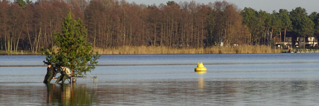 Rückblick Saison 2016